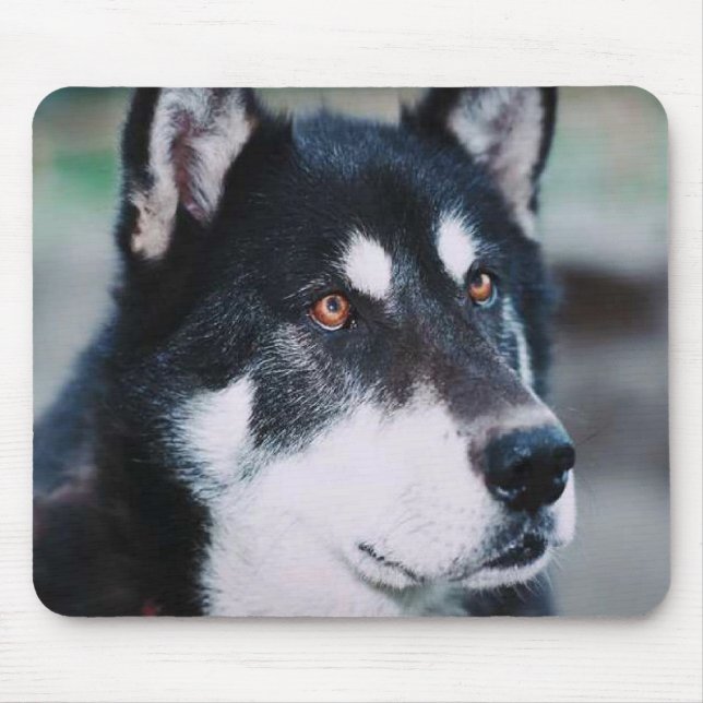 Alaskan Malamute Mouse Pad (Front)