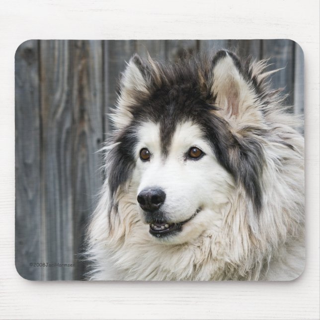Alaskan Malamute mousepad (Front)