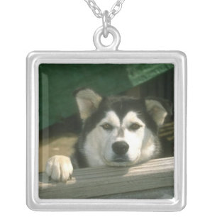 Alaskan Malamute Necklace