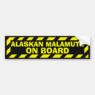 Alaskan Malamute on board yellow caution sticker