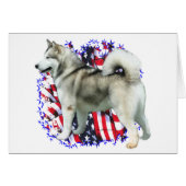 Alaskan Malamute Patriot (Front Horizontal)