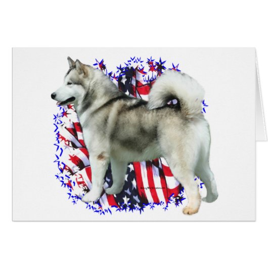 Alaskan Malamute Patriot Cards (Front Horizontal)