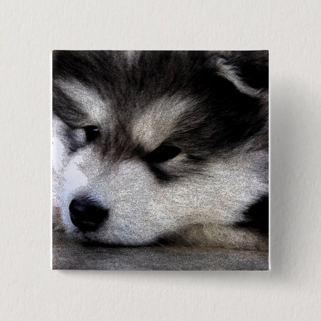 Alaskan Malamute Pinback Button (Front)