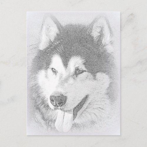 Alaskan Malamute Postcard