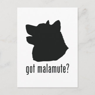 Alaskan Malamute Postcard