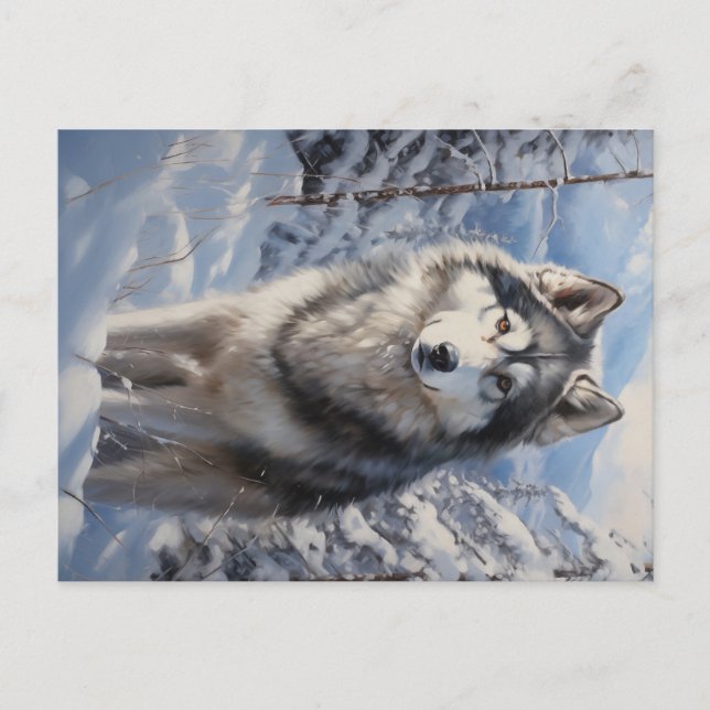 Alaskan Malamute Postcard (Front)