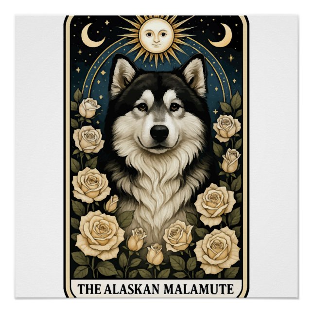 Alaskan Malamute Poster (Front)