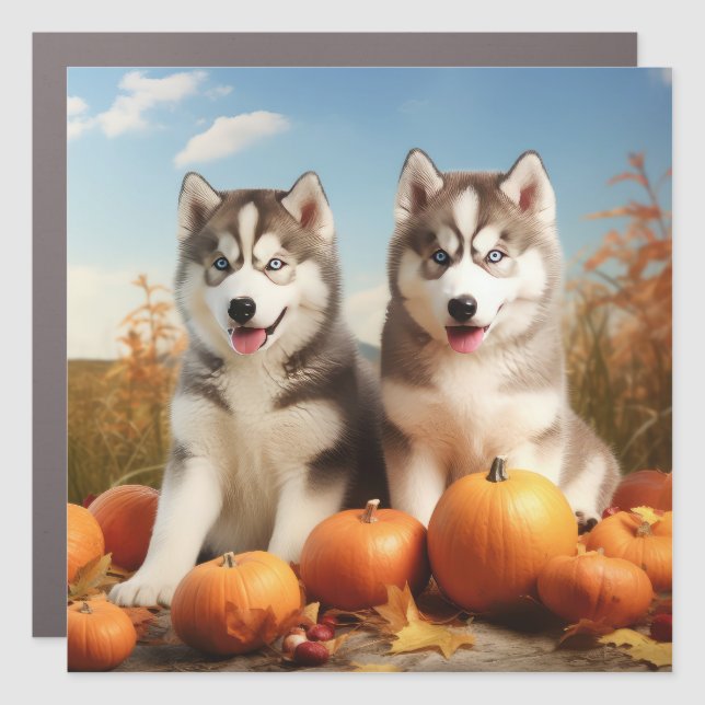 Alaskan Malamute Puppy Autumn Delight Pumpkin Car Magnet (Front)