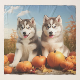 Alaskan Malamute Puppy Autumn Delight Pumpkin Scarf