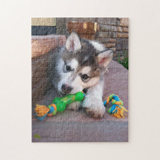 Alaskan Malamute Puppy Close-Up Photograph Jigsaw Puzzle