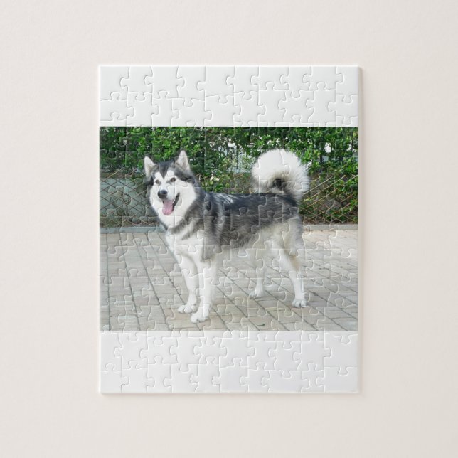 Alaskan Malamute Puppy Dog Jigsaw Puzzle (Vertical)