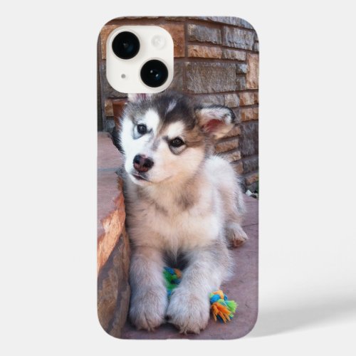 Alaskan Malamute Puppy Head Tilt Photograph Case_Mate iPhone 14 Case