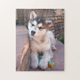 Alaskan Malamute Puppy Head Tilt Photograph Jigsaw Puzzle
