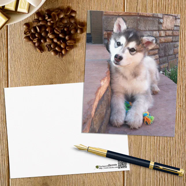 Alaskan Malamute Puppy Head Tilt Photograph Postcard | Zazzle