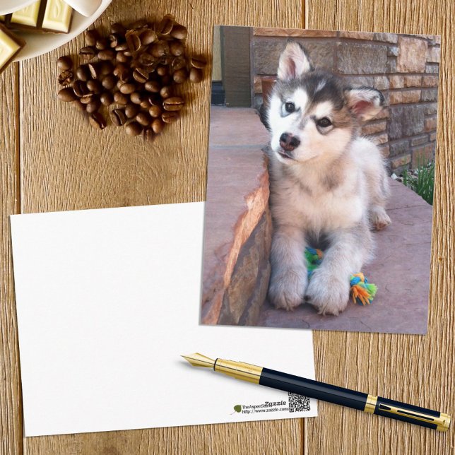 Alaskan Malamute Puppy Head Tilt Photograph Postcard (Creator Uploaded)