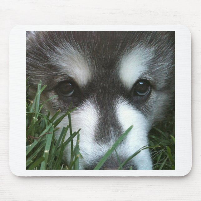 Alaskan Malamute Puppy Mouse Pad (Front)