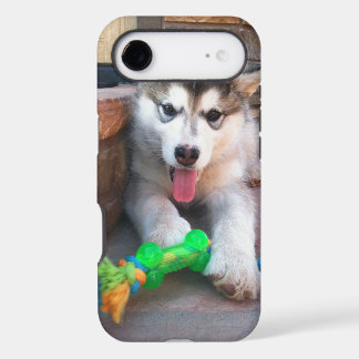 Alaskan Malamute Puppy With Rope Toy Photograph iPhone 17 Air Case