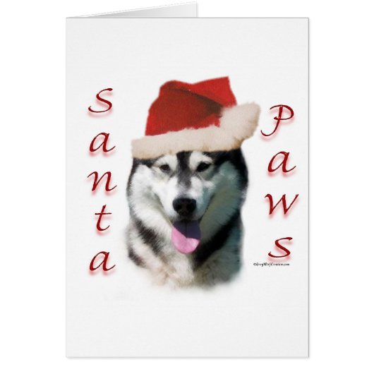Alaskan Malamute Santa Paws Cards (Front)