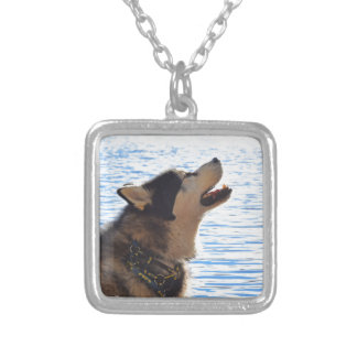 Alaskan Malamute Silver Plated Necklace