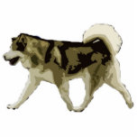 Alaskan Malamute Statuette<br><div class="desc">Alaskan Malamute photo sculpture</div>