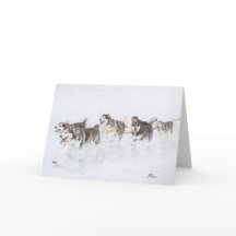 Alaskan Malamute team running through snow