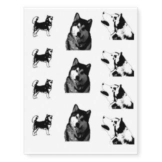 Alaskan Malamute Temporary Tattoos