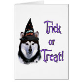 Alaskan Malamute Trick (Front)