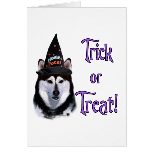 Alaskan Malamute Trick Cards (Front)