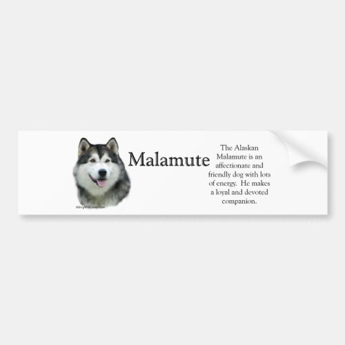 Alaskan Malamute Trivia Bumper Sticker