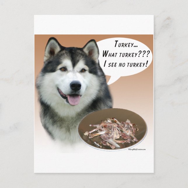 Alaskan Malamute Turkey Postcard (Front)
