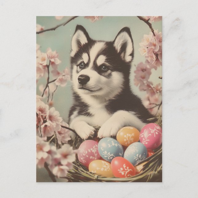 Alaskan malamute Vintage Easter Postcard (Front)