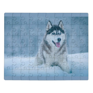 Alaskan Malamute walking on snow field Jigsaw Puzzle