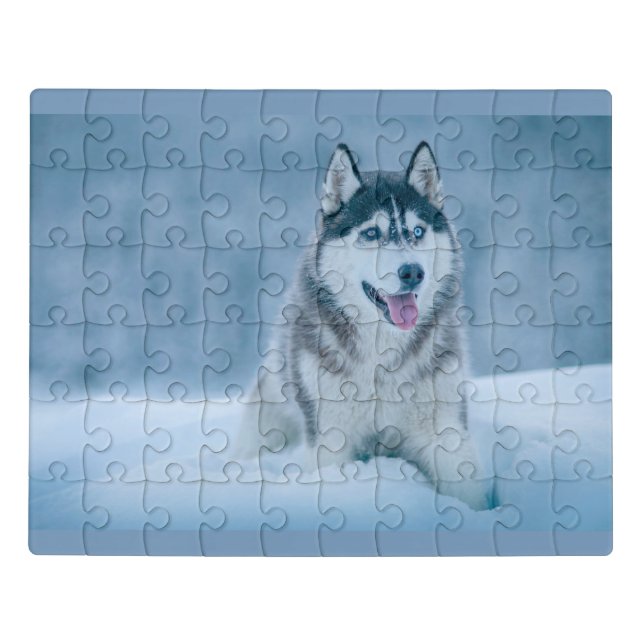 Alaskan Malamute walking on snow field Jigsaw Puzzle (Puzzle Horizontal)