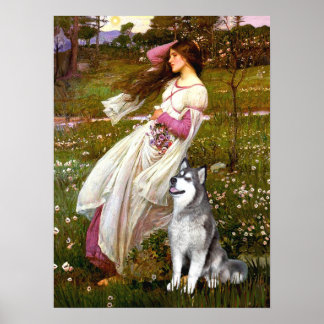 Alaskan Malamute  - Windflowers Poster