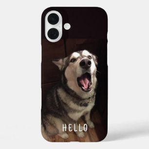Alaskan Malamute With Open Mouth Photograph iPhone 16 Plus Case