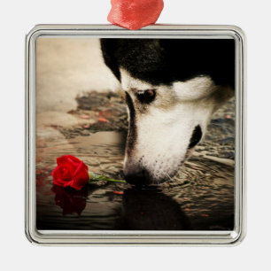 Alaskan Malamute with Red Rose Metal Ornament