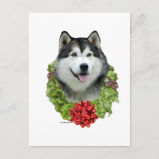 Alaskan Malamute Wreath Postcard