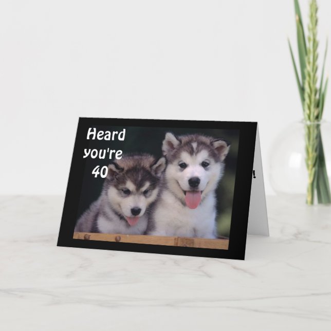 "ALASKAN MALAMUTES 40th BIRTHDAY WISHES" Card (Front)