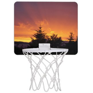 Alaskan mini basketball hoop