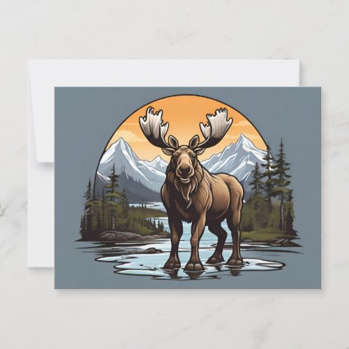 Alaskan Moose standing in water  Postcard
