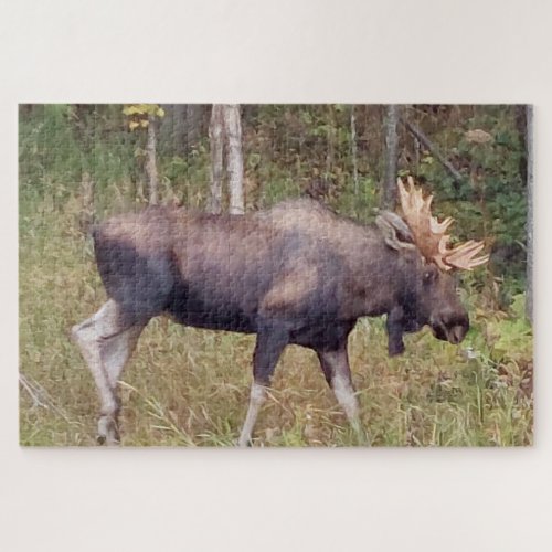 Alaskan Moose wAntlers Photo Designed Puzzle