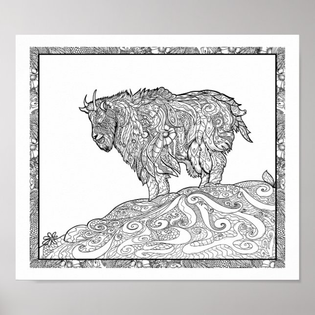 Alaskan mountain goat poster (Front)