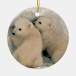 Alaskan Polar Bear Cubs Ceramic Ornament at Zazzle