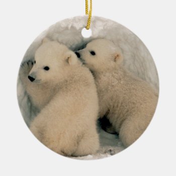Alaskan Polar Bear Cubs Ceramic Ornament by ErinsCreations at Zazzle