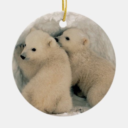 Alaskan Polar Bear Cubs Ceramic Ornament