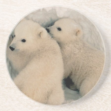 Alaskan Polar Bear Cubs Coaster