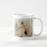 Alaskan Polar Bear Cubs Coffee Mug at Zazzle
