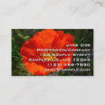 Alaskan Red Poppy Colorful Flower Business Card