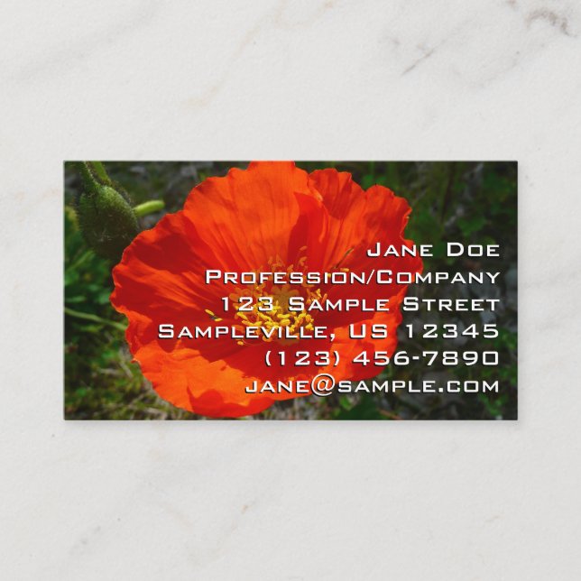 Alaskan Red Poppy Colorful Flower Business Card (Front)