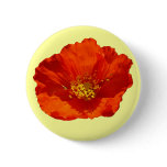 Alaskan Red Poppy Colorful Flower Button